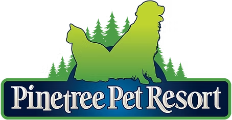 PPRLogoHorizontal450 Bagel Barn Logo Canadian