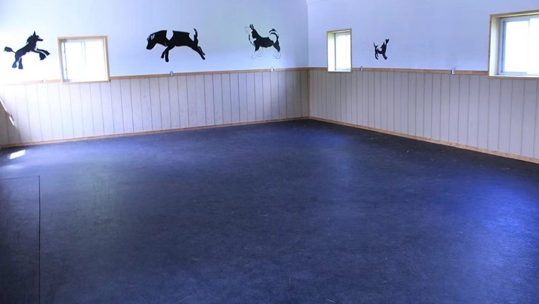 Pinetree Pet Resort  Indoor Dog Play Area